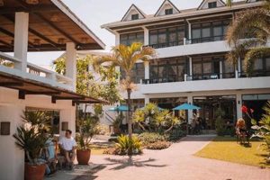 San Juan Surf Hotel: Your Beachfront Paradise | Learn to Surf & Skate: A Beginner's Step-by-Step Guide