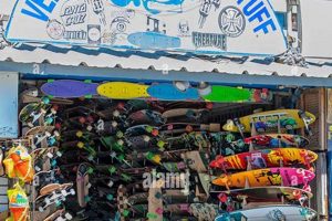 Your Guide to: Best Skate Shop Venice CA Spots! | Learn to Surf & Skate: A Beginner's Step-by-Step Guide
