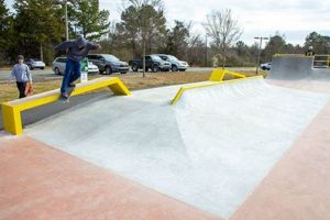 Best Skate Park in Charlotte NC: Locations & Guide | Learn to Surf & Skate: A Beginner's Step-by-Step Guide