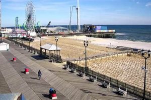 Live Surf Cam South Beach Views: Your Real-Time Guide! | Learn to Surf & Skate: A Beginner's Step-by-Step Guide