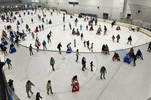 Glide &amp; Groove: Your Open Skate Ice House Experience | Learn to Surf & Skate: A Beginner's Step-by-Step Guide