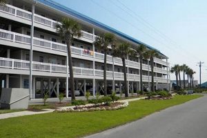 Surf City NC Hotels: Your Beach Getaway Guide | Learn to Surf & Skate: A Beginner's Step-by-Step Guide