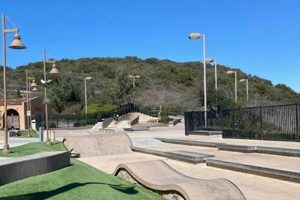 Visit Alga Norte Skate Park: Fun for All! Learn to Surf & Skate: A Beginner's Step-by-Step Guide Visit Alga Norte Skate Park: Fun for All! | Learn to Surf & Skate: A Beginner's Step-by-Step Guide