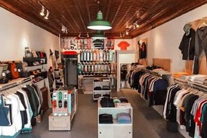 Find Your Best Local Skate Shop: Gear & Community | Learn to Surf & Skate: A Beginner's Step-by-Step Guide