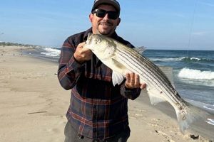 NJ Surf Fishing Report Today: Hot Bites Now! | Learn to Surf & Skate: A Beginner's Step-by-Step Guide