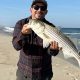 NJ Surf Fishing Report Today: Hot Bites Now! | Learn to Surf & Skate: A Beginner's Step-by-Step Guide