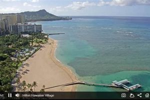 Waikiki Surf Cam Guide: See Hawaii's Surf Live! | Learn to Surf & Skate: A Beginner's Step-by-Step Guide