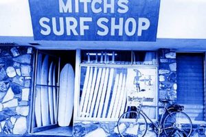 Your Guide to Mitch Surf Shop Gear + More! | Learn to Surf & Skate: A Beginner's Step-by-Step Guide