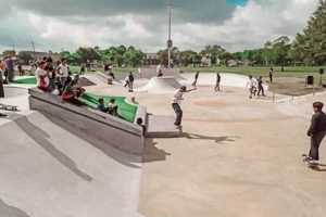Find Roller Skate Parks Near Me: Your Skate Spot! | Learn to Surf & Skate: A Beginner's Step-by-Step Guide