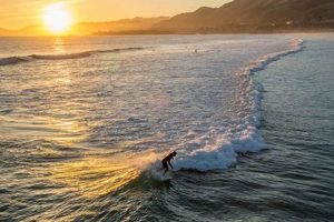 Your Guide: Surfing Pismo Beach, CA + Tips! | Learn to Surf & Skate: A Beginner's Step-by-Step Guide