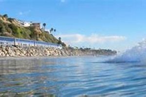 Learn Surf: San Clemente Surf Lessons & Tips | Learn to Surf & Skate: A Beginner's Step-by-Step Guide
