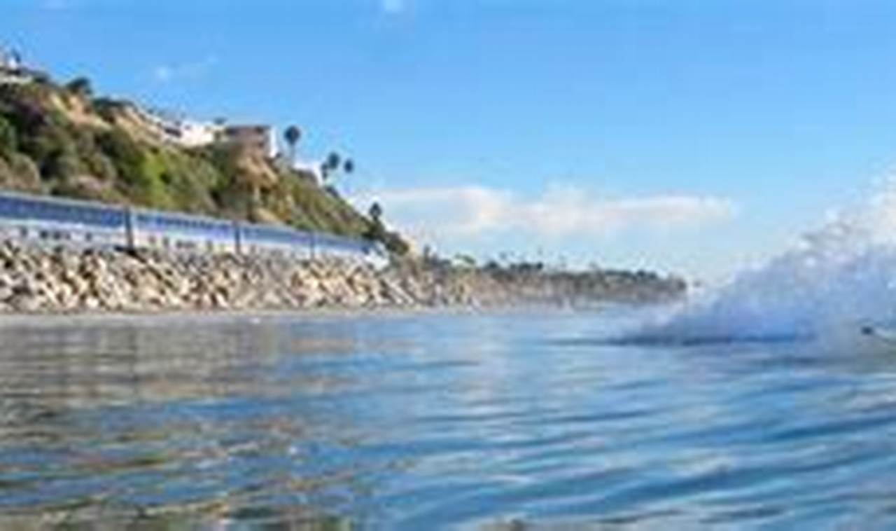 Learn Surf: San Clemente Surf Lessons & Tips | Learn to Surf & Skate: A Beginner's Step-by-Step Guide