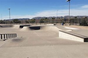 Pecos Skate Park: Shred Better at This Local Hotspot | Learn to Surf & Skate: A Beginner's Step-by-Step Guide