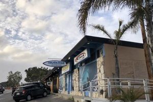 Encinitas CA Surf Shops: Your Guide & Local Deals | Learn to Surf & Skate: A Beginner's Step-by-Step Guide