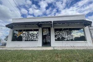 Your Local Barber Skate Shop: Grooming & Gear! | Learn to Surf & Skate: A Beginner's Step-by-Step Guide