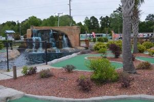 Fun Surf City NC Putt Putt: Courses & More! Learn to Surf & Skate: A Beginner's Step-by-Step Guide Fun Surf City NC Putt Putt: Courses & More! | Learn to Surf & Skate: A Beginner's Step-by-Step Guide
