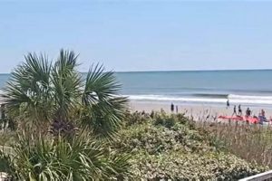 Watch Myrtle Beach Surf Cam Live: Conditions & More! | Learn to Surf & Skate: A Beginner's Step-by-Step Guide