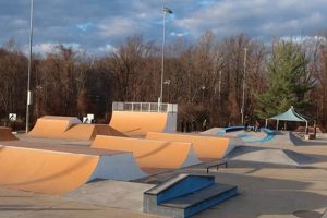 Epic Skate Park Pics: Capture the Thrill! | Learn to Surf & Skate: A Beginner's Step-by-Step Guide