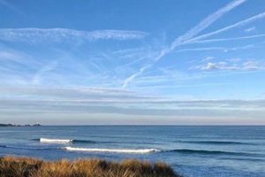BlueSky Surf: Your Local Surf Report & Forecast | Learn to Surf & Skate: A Beginner's Step-by-Step Guide