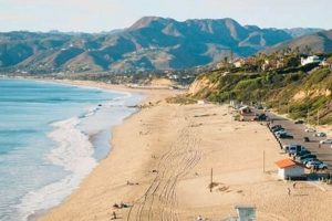 Surfing Zuma Beach? Is Zuma Beach Good for Surfing? Guide Learn to Surf & Skate: A Beginner's Step-by-Step Guide Surfing Zuma Beach? Is Zuma Beach Good for Surfing? Guide | Learn to Surf & Skate: A Beginner's Step-by-Step Guide