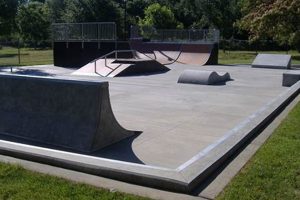 Your Guide to Reichmuth Skate Park Fun! | Learn to Surf & Skate: A Beginner's Step-by-Step Guide