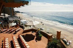 Laguna Beach Sand & Surf Hotel: Your Coastal Escape | Learn to Surf & Skate: A Beginner's Step-by-Step Guide