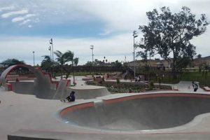 Best San Diego Skate Park Guide: Locations & Tips | Learn to Surf & Skate: A Beginner's Step-by-Step Guide