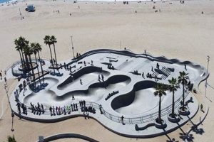 Visit Venice Beach Skate Park: A Skater's Paradise! | Learn to Surf & Skate: A Beginner's Step-by-Step Guide