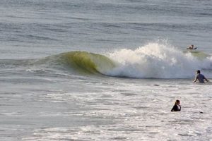 Jax FL Surf Report: Today's Jacksonville Beach Waves | Learn to Surf & Skate: A Beginner's Step-by-Step Guide