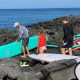 Book Kona Surf Lessons: Ride the Waves! | Learn to Surf & Skate: A Beginner's Step-by-Step Guide