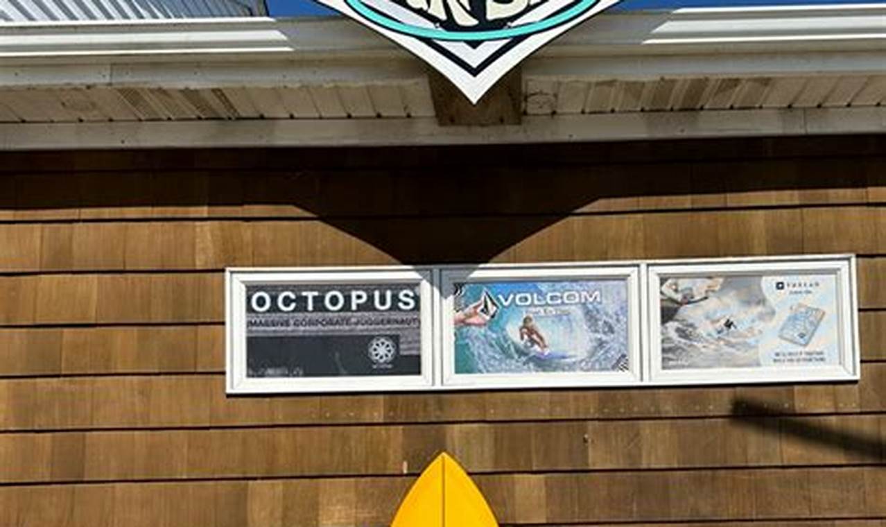Your Guide: Matunuck Surf Shop - Gear & More! | Learn to Surf & Skate: A Beginner's Step-by-Step Guide