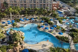 Explore Marriott Surf Club: Your Aruba Beach Getaway | Learn to Surf & Skate: A Beginner's Step-by-Step Guide