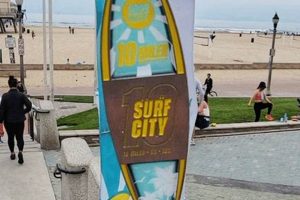 Surf City 10 Coupon Code | Learn to Surf & Skate: A Beginner's Step-by-Step Guide