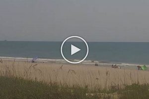 Live Surf Cam Florida: Beach Views & Wave Reports | Learn to Surf & Skate: A Beginner's Step-by-Step Guide