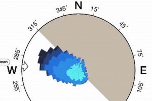 Your Emma Wood Surf Report: [Conditions & Forecast] | Learn to Surf & Skate: A Beginner's Step-by-Step Guide
