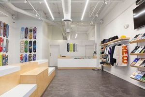 Miami's Best Roller Skate Shop: Gear & Repair! | Learn to Surf & Skate: A Beginner's Step-by-Step Guide