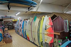 Your Saltys Surf Shop: Gear, Guides & More! | Learn to Surf & Skate: A Beginner's Step-by-Step Guide