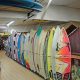 Your Saltys Surf Shop: Gear, Guides & More! | Learn to Surf & Skate: A Beginner's Step-by-Step Guide