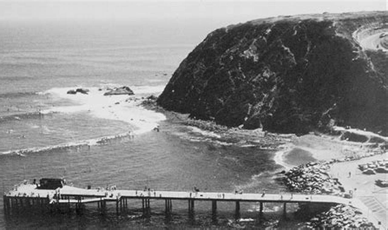 Your Guide to Killer Dana Surf Shop: Gear & More! | Learn to Surf & Skate: A Beginner's Step-by-Step Guide