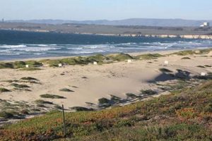Lompoc Surf's Up: Best Surf Beach Lompoc CA Spots! | Learn to Surf & Skate: A Beginner's Step-by-Step Guide