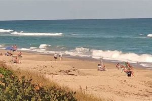 Miami Beach Surf Cam: Live Waves & Beach Conditions Learn to Surf & Skate: A Beginner's Step-by-Step Guide Miami Beach Surf Cam: Live Waves & Beach Conditions | Learn to Surf & Skate: A Beginner's Step-by-Step Guide