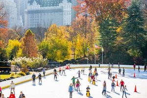 Best Places: Where to Ice Skate in New York (This Winter!) | Learn to Surf & Skate: A Beginner's Step-by-Step Guide