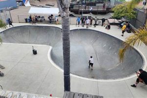 Your YMCA Skate Park Guide: Find a Park Near You! | Learn to Surf & Skate: A Beginner's Step-by-Step Guide