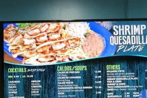 Discover Ensenada Surf and Turf Menu: Best Dishes + Prices | Learn to Surf & Skate: A Beginner's Step-by-Step Guide