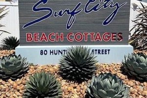 Find Your Surf City Beach Cottages Huntington Getaway! | Learn to Surf & Skate: A Beginner's Step-by-Step Guide