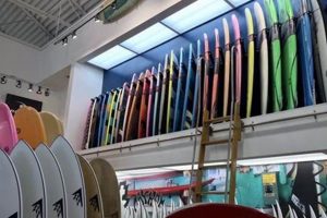 Your Guide to 17th Street Surf Shop VA: Gear & More! | Learn to Surf & Skate: A Beginner's Step-by-Step Guide