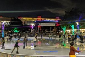 Your Guide: Ice Skate in Houston - Fun on Ice! Learn to Surf & Skate: A Beginner's Step-by-Step Guide Your Guide: Ice Skate in Houston - Fun on Ice! | Learn to Surf & Skate: A Beginner's Step-by-Step Guide