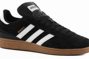 Buy Adidas Busenitz Skate Shoes: Performance & Style! | Learn to Surf & Skate: A Beginner's Step-by-Step Guide