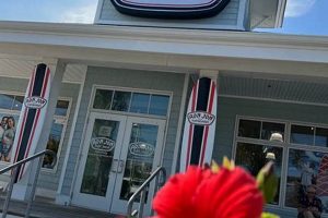 Your Guide: Surf Shop Ocean City MD | Boards & Gear | Learn to Surf & Skate: A Beginner's Step-by-Step Guide