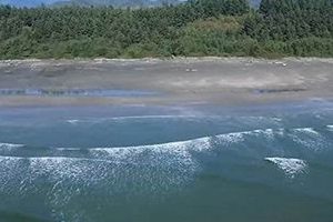 Agate Beach Surf Cam: See Real-Time Wave Action | Learn to Surf & Skate: A Beginner's Step-by-Step Guide